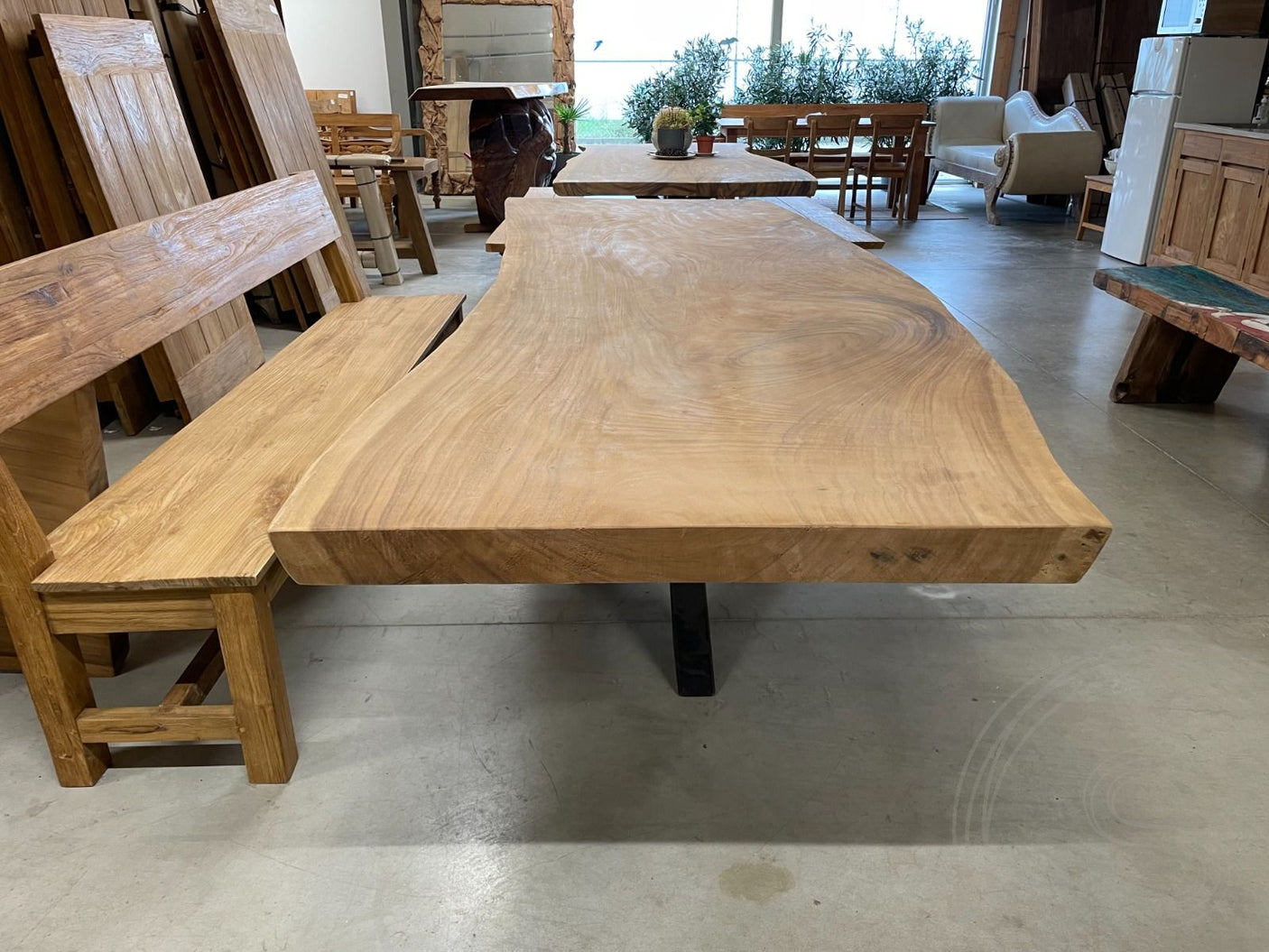 Baumstammtisch Spider