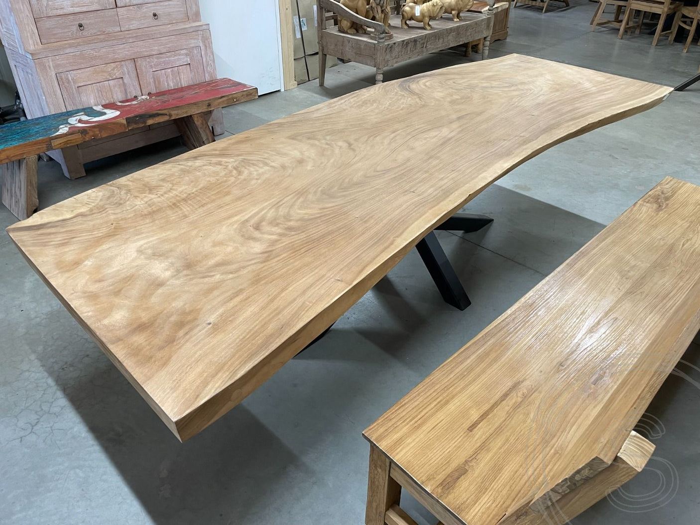 Baumstammtisch Spider