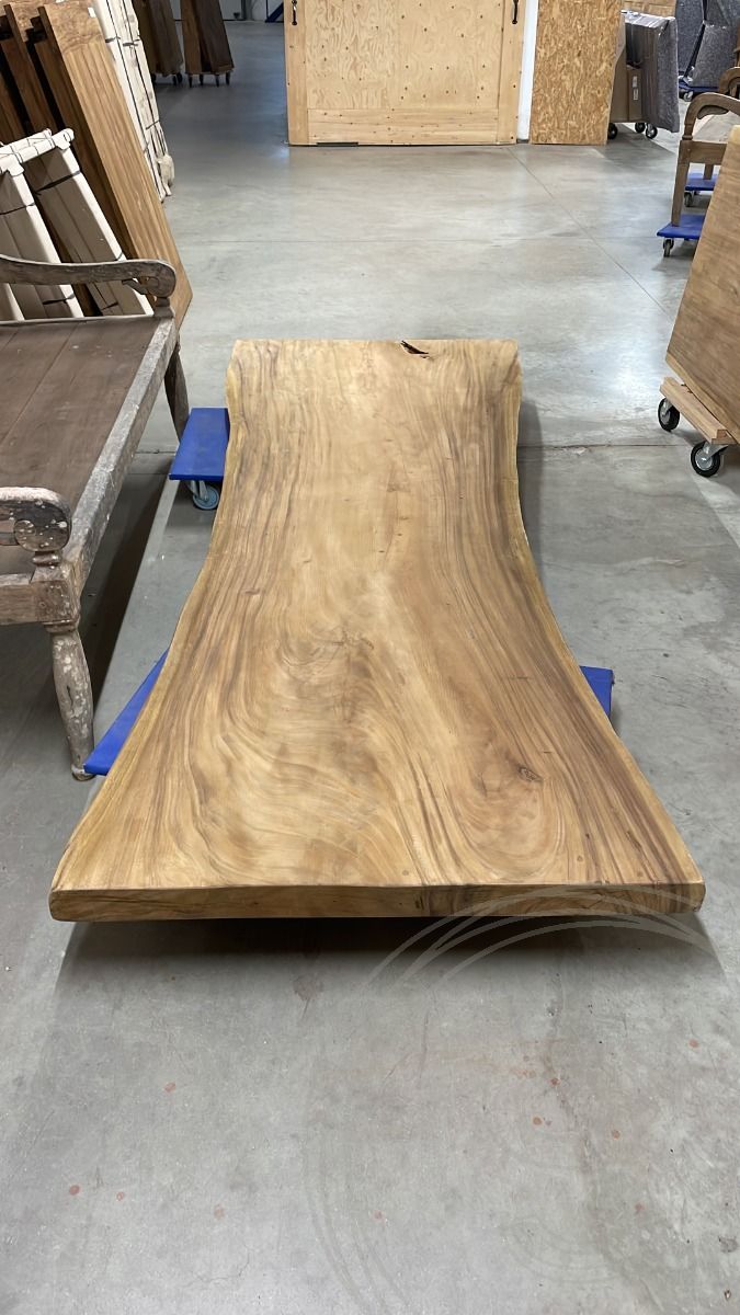 Baumstammtisch Spider