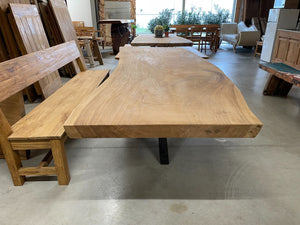 Baumstammtisch Spider