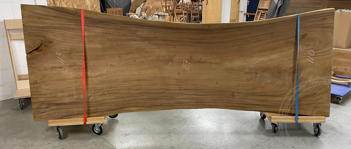 Baumstammtisch Spider